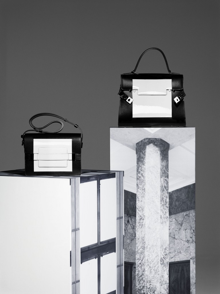 Delvaux Fall/Winter 2016 Bag Collection Featuring the Tempête Mini