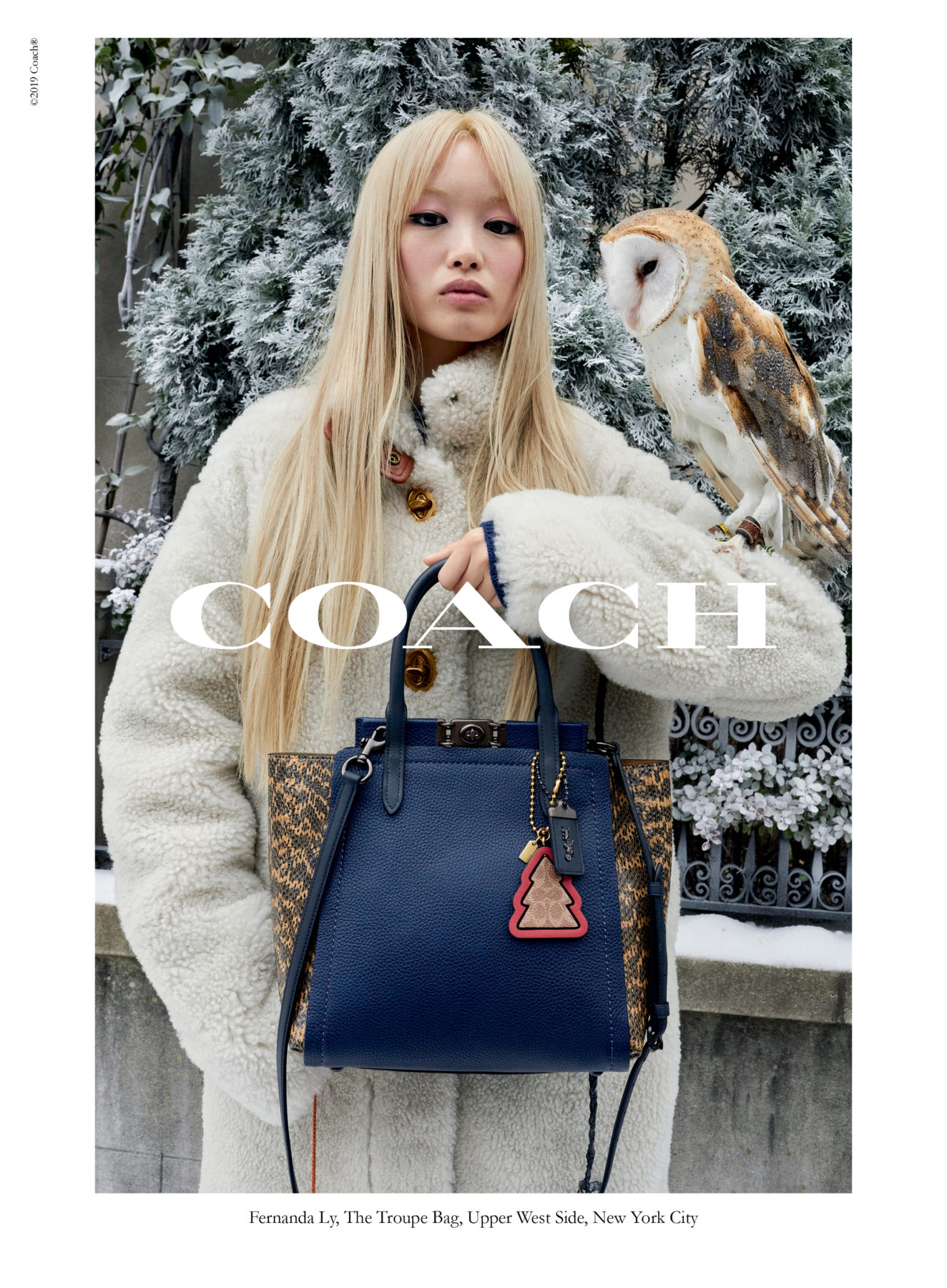 coach christmas bag