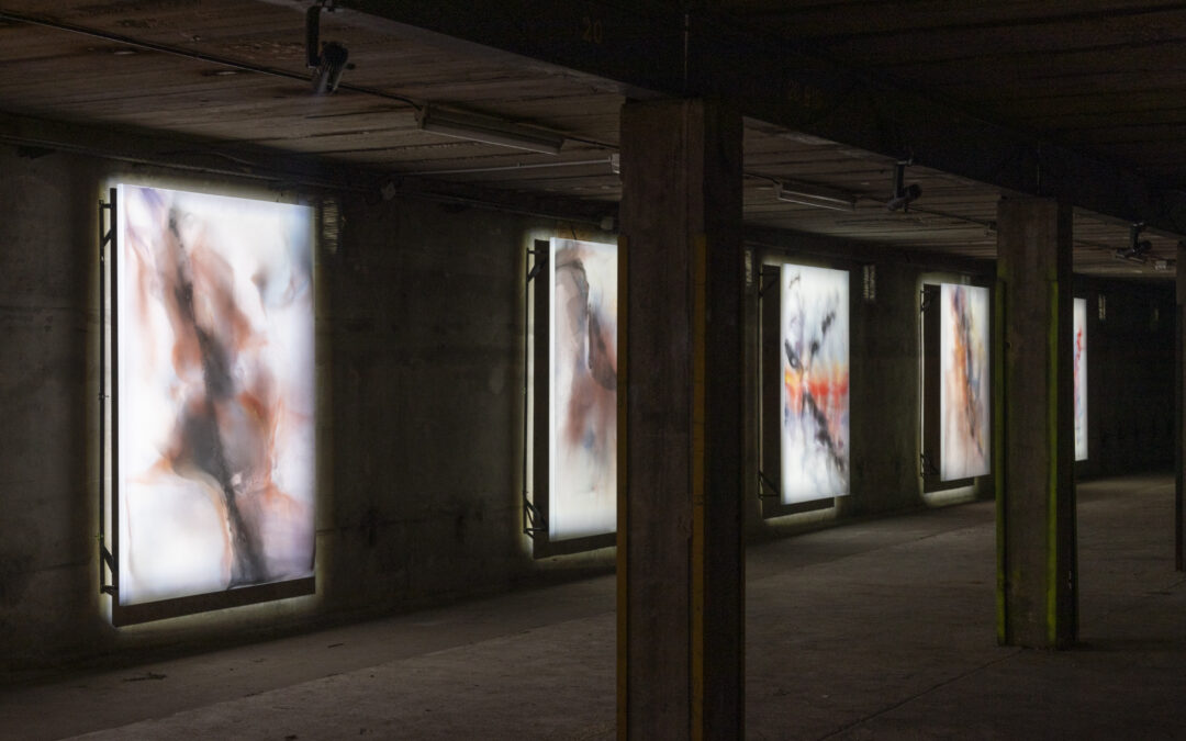 BIENNALE DE LYON: LES VOIX DES FLEUVES, CROSSING THE WATER